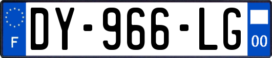 DY-966-LG