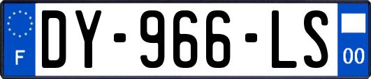 DY-966-LS