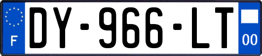 DY-966-LT