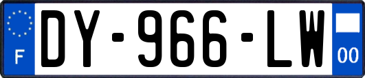 DY-966-LW