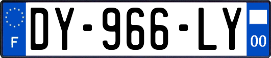 DY-966-LY
