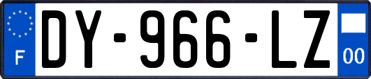 DY-966-LZ