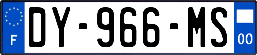DY-966-MS