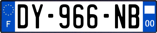 DY-966-NB
