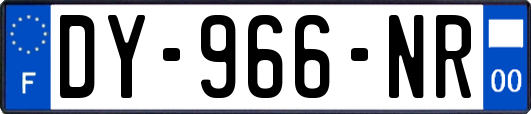 DY-966-NR