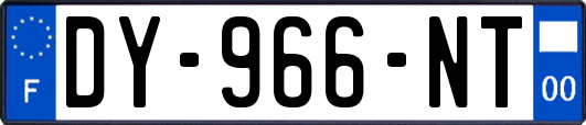 DY-966-NT