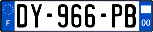 DY-966-PB
