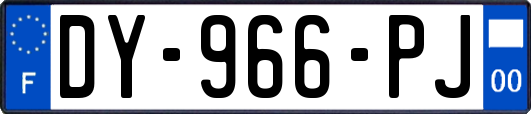 DY-966-PJ