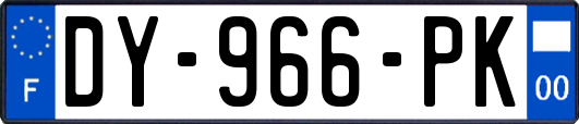DY-966-PK