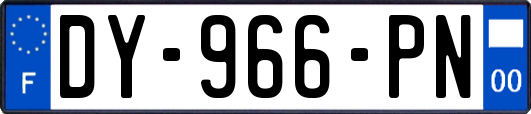 DY-966-PN