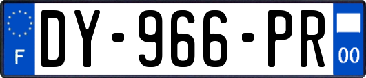 DY-966-PR