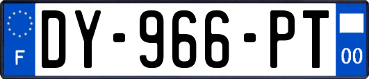 DY-966-PT