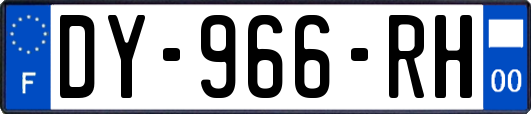 DY-966-RH