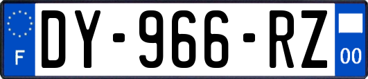 DY-966-RZ