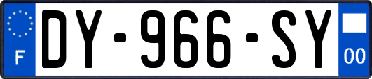 DY-966-SY