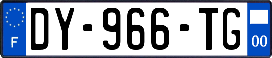 DY-966-TG