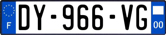 DY-966-VG