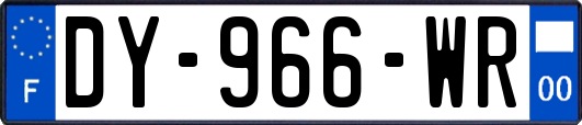 DY-966-WR