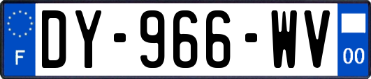 DY-966-WV