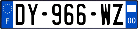 DY-966-WZ