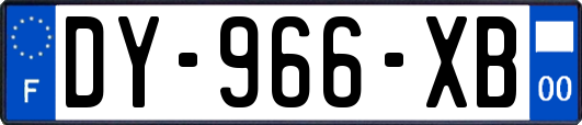 DY-966-XB