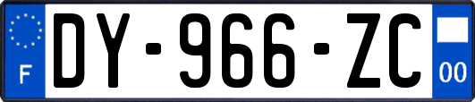 DY-966-ZC