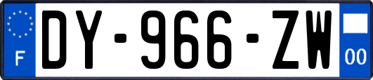 DY-966-ZW