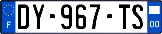 DY-967-TS