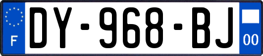 DY-968-BJ
