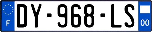 DY-968-LS