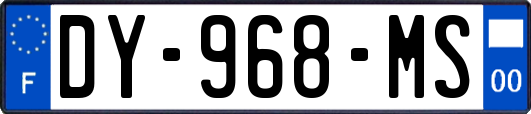 DY-968-MS