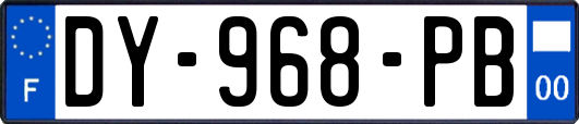 DY-968-PB