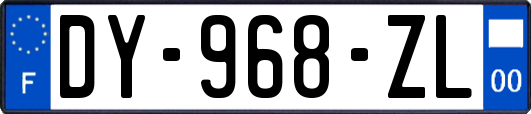 DY-968-ZL