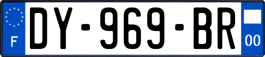 DY-969-BR