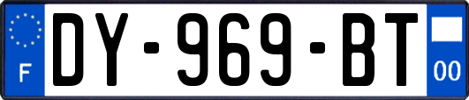 DY-969-BT