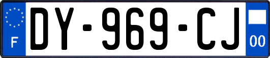 DY-969-CJ