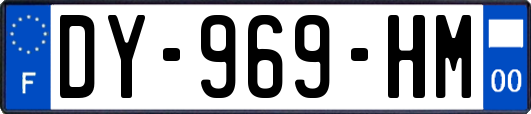 DY-969-HM