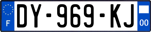 DY-969-KJ