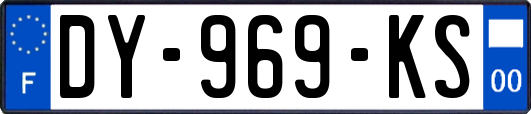 DY-969-KS