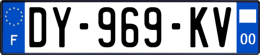 DY-969-KV