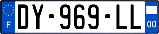 DY-969-LL