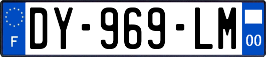 DY-969-LM