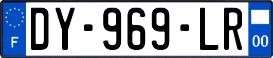 DY-969-LR