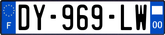 DY-969-LW