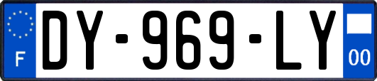 DY-969-LY