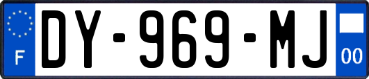 DY-969-MJ