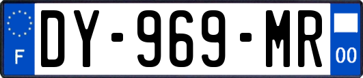 DY-969-MR