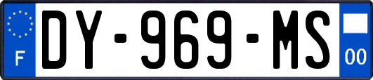 DY-969-MS