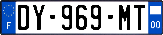DY-969-MT