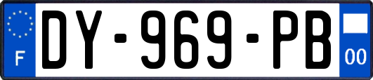 DY-969-PB